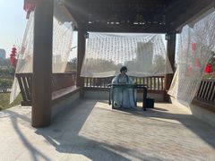 -广西壮族自治区药用植物园