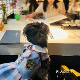 德基现在也有很多宠物友好餐饮店啦！