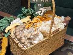 -大龙燚·旷野鲜火锅(广州首店)