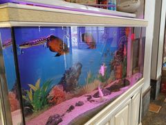 -大地烙馍村(商城路店)