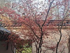 -堤角公园