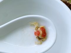 -叶存利海鲜大馅饺子(东戴河止锚湾店)