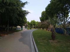 -暨阳湖生态园
