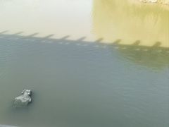 -七桥瓮公园