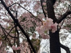 -静安雕塑公园