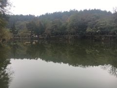 -韶山毛泽东同志故居