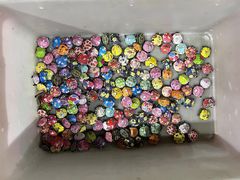 -中环花鸟鱼虫市场