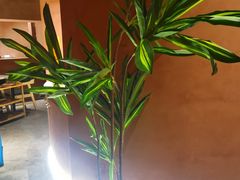 -喃喃椰·糟粕醋·椰子鸡火锅(七堡花园店)