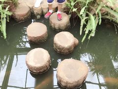 -北戴河集发农业梦想王国