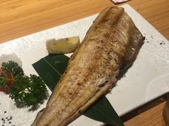 -彩汐 日式海鲜&烧鸟居酒屋