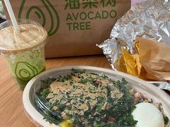 -油梨树AVOCADO TREE(顺义新国展店)