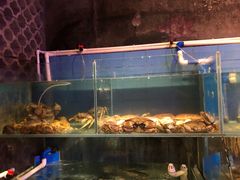 -辉记炭烧海鲜大排档·老字号(福田店)