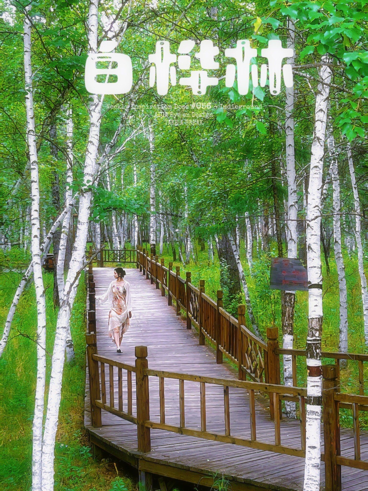 在银白色诗行里迷路