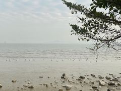 -深圳湾公园(南山区)