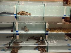 -牛村来人潮汕牛肉火锅(西单店)