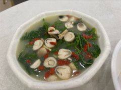 上汤桑叶-姚林轩