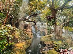 -Chom Cafe and Restaurant