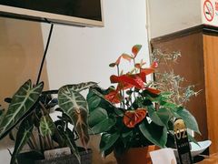 -云之南(八里庄店)