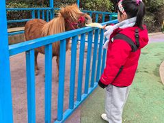 -启东恒大海上威尼斯酒店