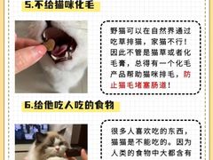 -宠物寄养训练学校