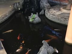 -荔城生鲜盛宴(番禺旗舰店)