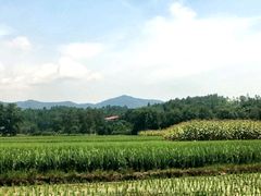 -湖南四明山国家森林公园