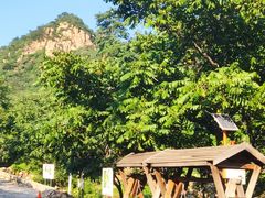 -大岭沟猕猴桃谷风景区