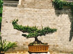 -宁波茶文化博物院