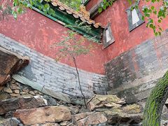 -茶花妹子云南餐厅(北大店)