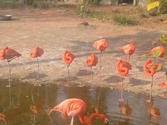 -鄂尔多斯野生动物园