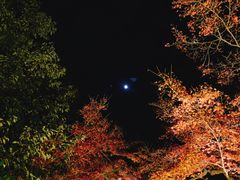 -醍醐寺