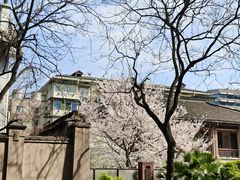 -杭州师范大学附属医院(杭州总院)
