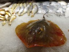 -天天渔港海鲜酒家(石浦玉泉路店)