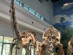 -自贡恐龙博物馆