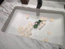 -娇玫荟SPA