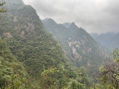 -龙湾潭国家森林公园
