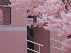 -金茂览秀城
