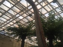 恐龙公园-国家自然博物馆