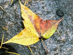 -宁波五龙潭景区