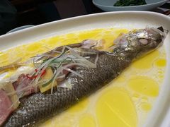 -森隆饭庄(崇文门新世界百货店)