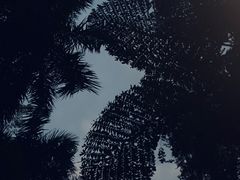-南宁南湖公园