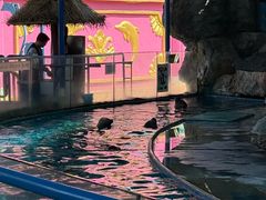 -横店影视城梦幻谷园区