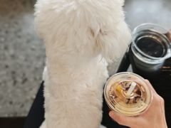 -CoffeeVendor(西乡店)