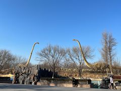 -北京野生动物园