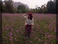 -艾溪湖湿地公园