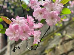 -昆明市金殿名胜区