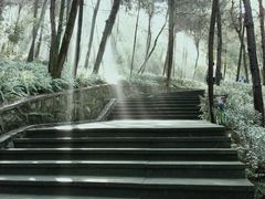 -铁山坪森林公园