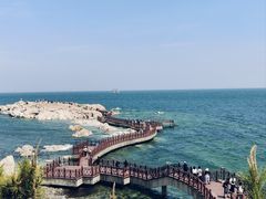 -养马岛旅游度假区