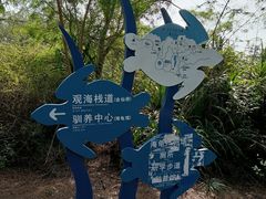 -广东惠东海龟国家级自然保护区