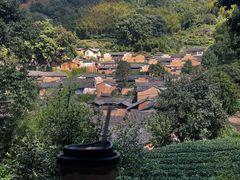 -杨家堂村